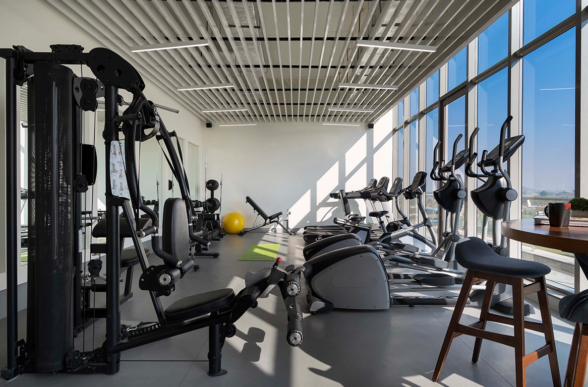 Gymnasium